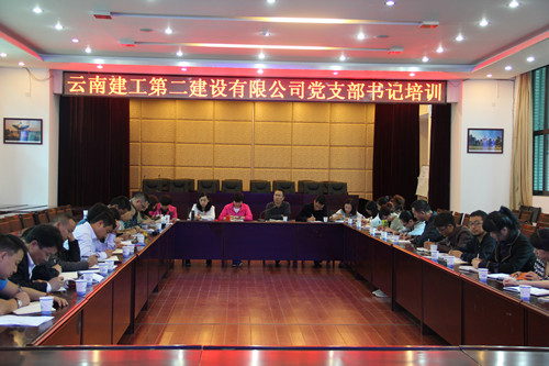 公司召開上半年黨支部考核暨黨支部書記培訓(xùn)會