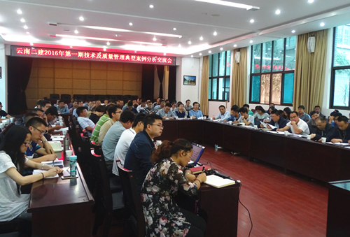 公司組織召開技術(shù)質(zhì)量管理典型案例分析交流會